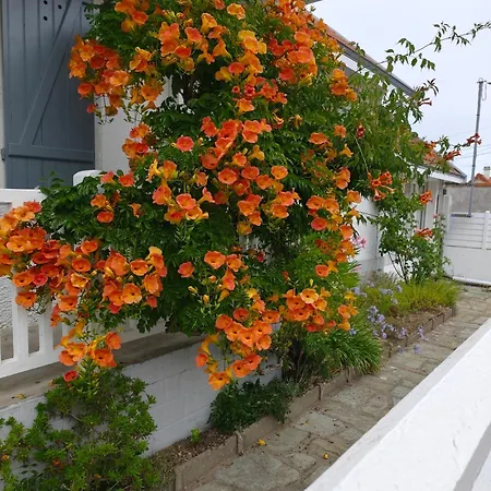 Maison Avec Jardin A 150 M De La La Plaine-sur-Mer