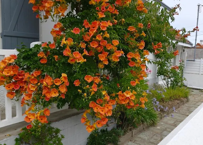 Maison Avec Jardin A 150 M De La La Plaine-sur-Mer